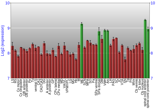 Multi-state expression graph