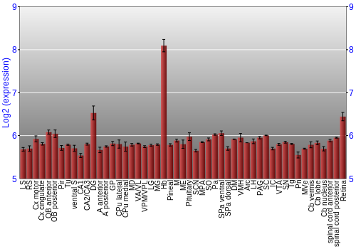 Expression graph