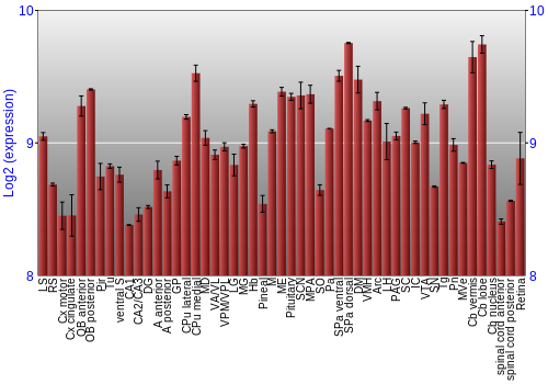 Expression graph