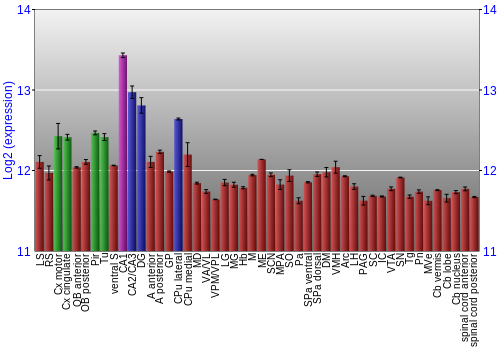 Multi-state expression graph