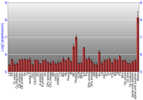 Expression graph