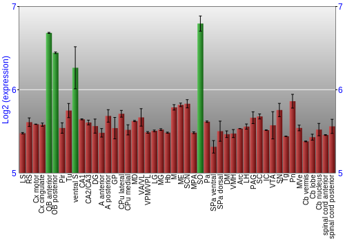 Multi-state expression graph