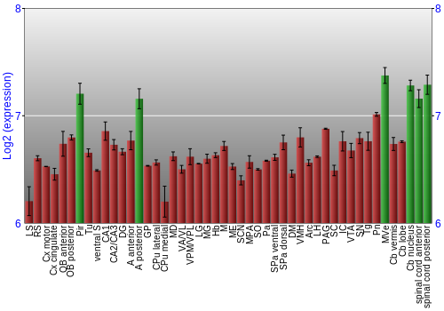 Multi-state expression graph
