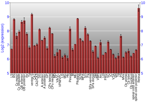 Expression graph