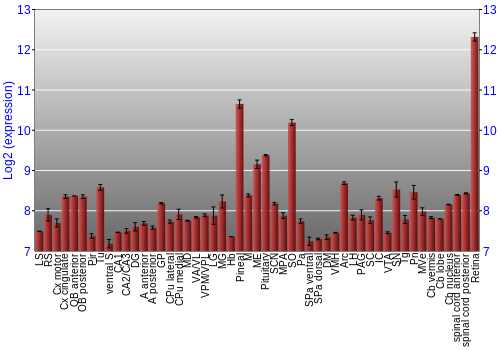 Expression graph