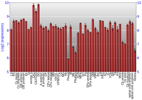 Expression graph