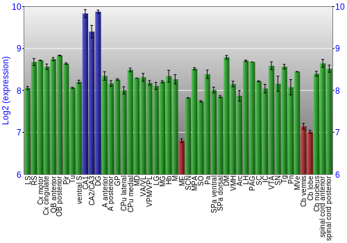 Multi-state expression graph