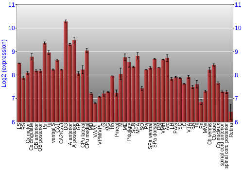 Expression graph