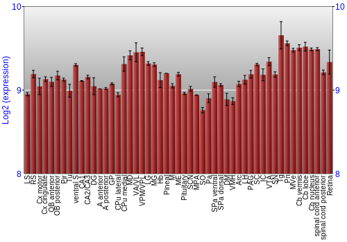 Expression graph