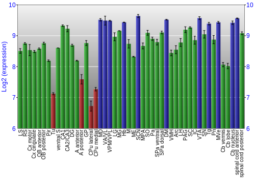 Multi-state expression graph