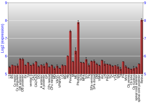 Expression graph