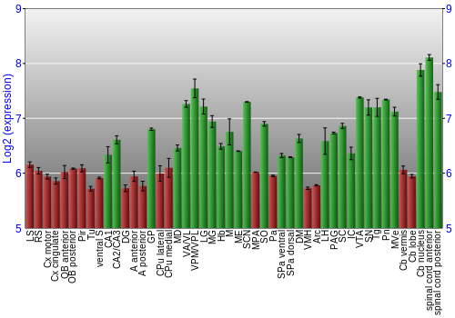 Multi-state expression graph