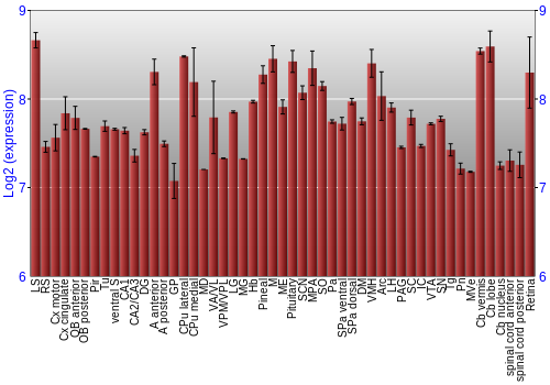 Expression graph