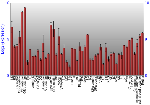 Expression graph