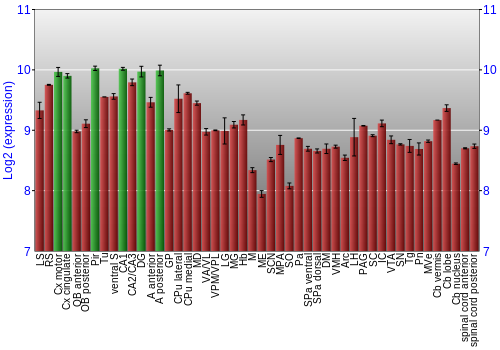 Multi-state expression graph