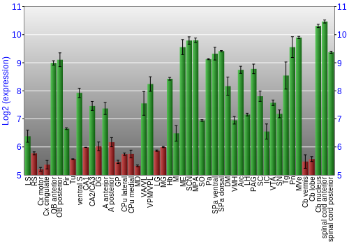 Multi-state expression graph