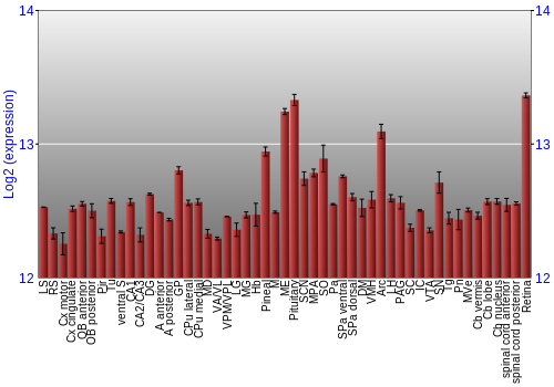 Expression graph