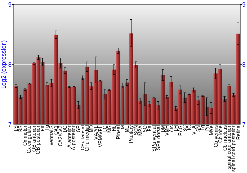 Expression graph