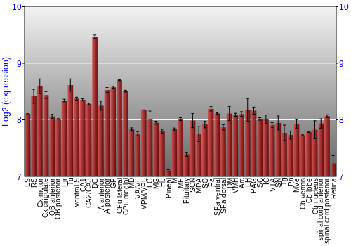 Expression graph