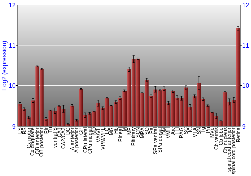 Expression graph