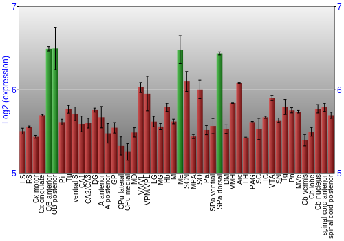Multi-state expression graph