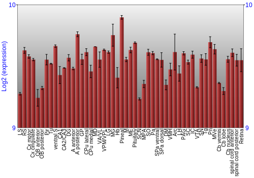 Expression graph