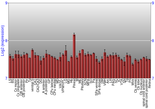 Expression graph