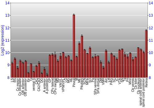 Expression graph