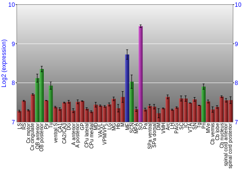 Multi-state expression graph