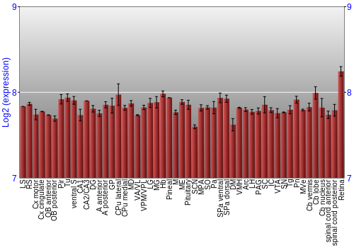 Expression graph
