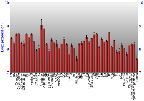 Expression graph