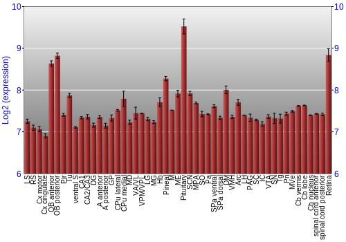 Expression graph