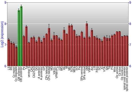Multi-state expression graph
