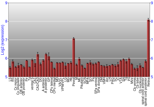 Expression graph