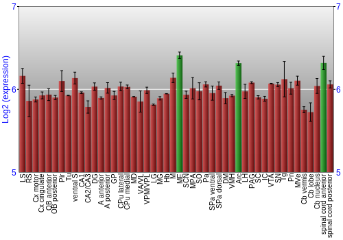 Multi-state expression graph