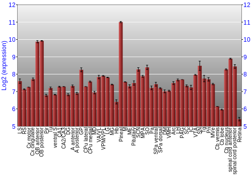 Expression graph