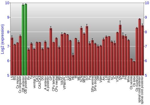 Multi-state expression graph