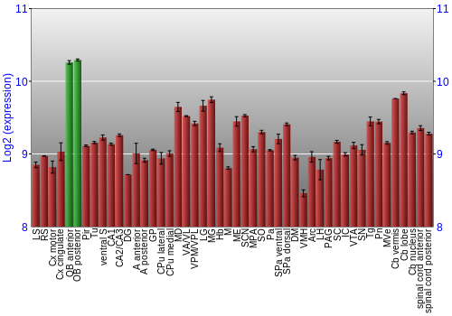 Multi-state expression graph