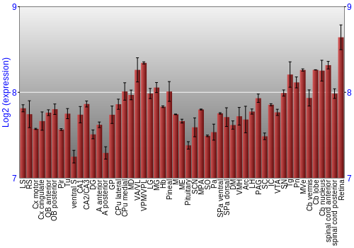 Expression graph