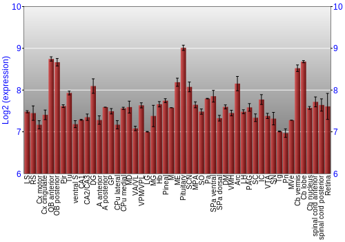 Expression graph