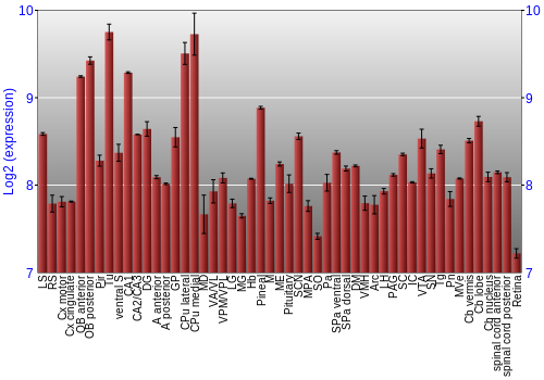 Expression graph
