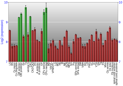 Multi-state expression graph