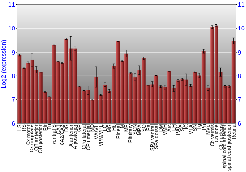 Expression graph