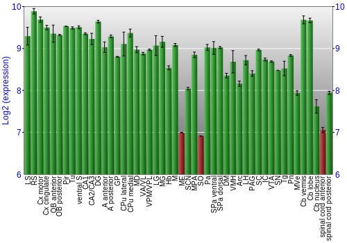 Multi-state expression graph
