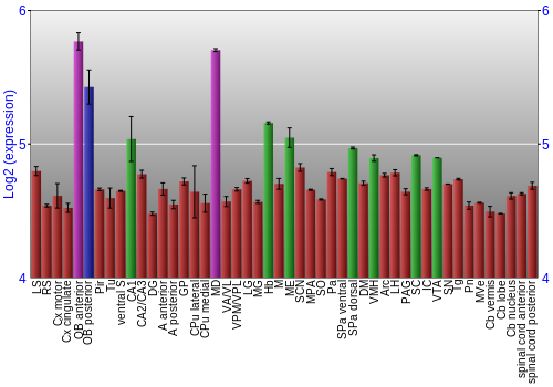 Multi-state expression graph