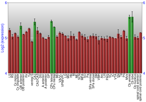 Multi-state expression graph