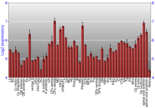 Expression graph