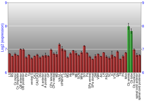 Multi-state expression graph