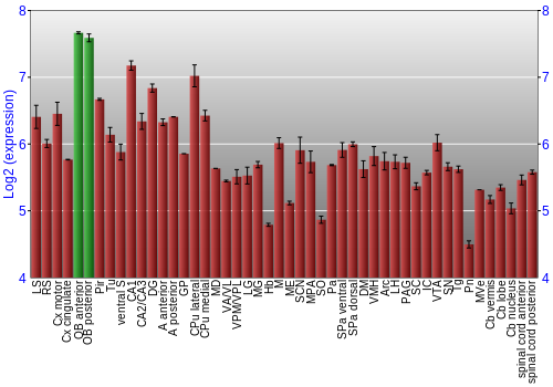 Multi-state expression graph