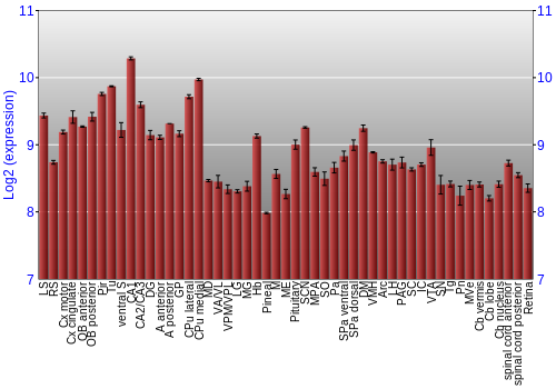 Expression graph